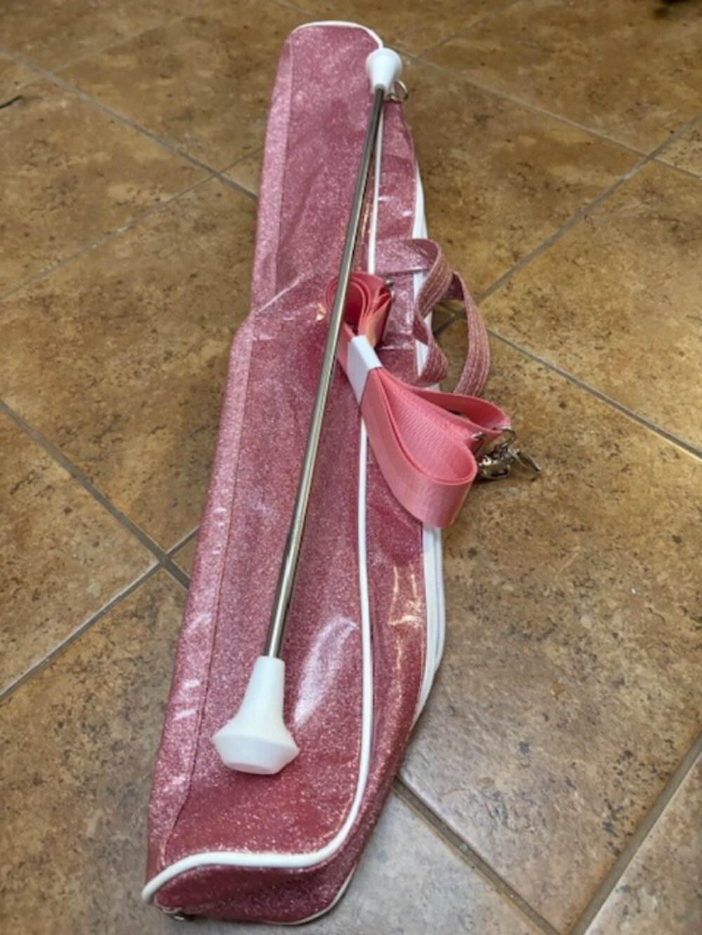 Professional Baton & Baton Case